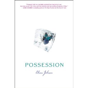 possession_Elana_Johnson