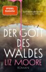 Rezension zu Der Gott des Waldes von Liz Moore