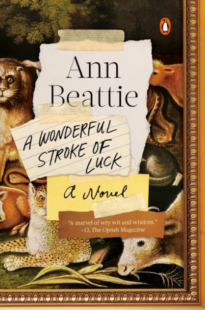 Buchcover: A Wonderful Stroke of Luck